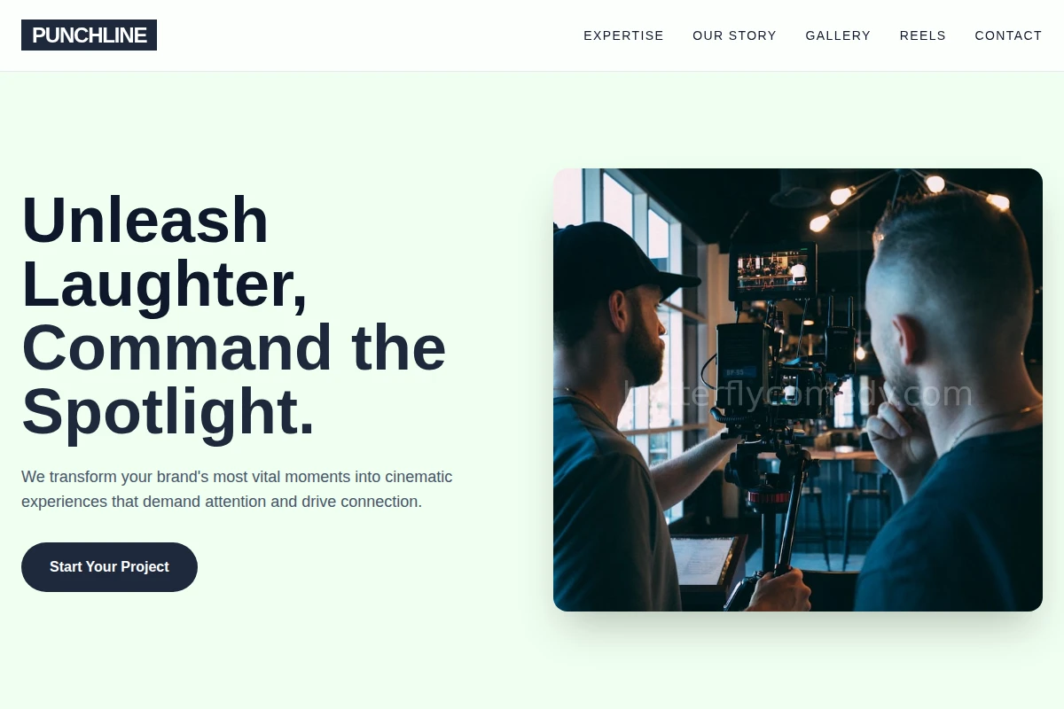 Punchline Video Production
